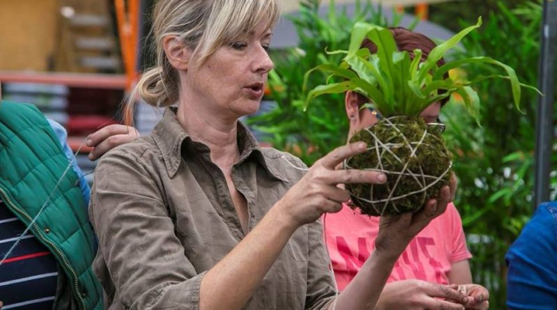 Upoznajte kokedamu, japansku tehniku oblikovanja biljaka u kuglama od mahovine. Kokedama predstavlja stil uzgoja koji potječe iz tehnike Nearai, vrlo popularnog bonsai stila iz 17. stoljeća u Japanu. Prezentacija same biljke bez odgovarajuće posude stvara jedinstven i neobičan prizor koji će oduševiti svakog ljubitelja biljaka. Vaša instruktorica će biti Kornelija Benyovsky Šoštarić