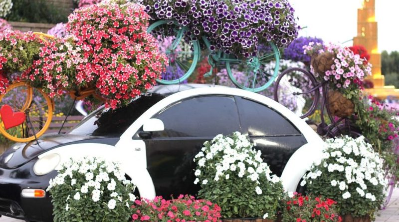 Dubai miracle garden