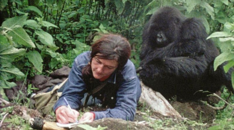 Dian Fossey